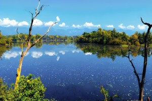 ghodaghodi_tal_4(1).jpg